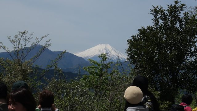 高尾山　ハイキング