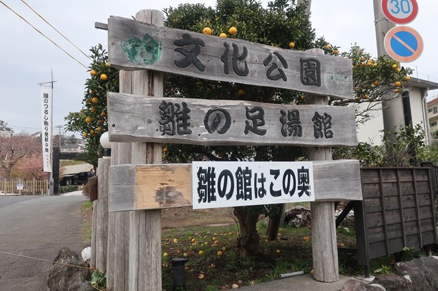 はとバスツアーに一人参加し、稲取温泉で開催されている「雛の吊るし祭り」を見学し、稲取東海ホテルの温泉をゆっくり楽しみました。
雛の吊るし祭りは迫力もあり、たのしめました！