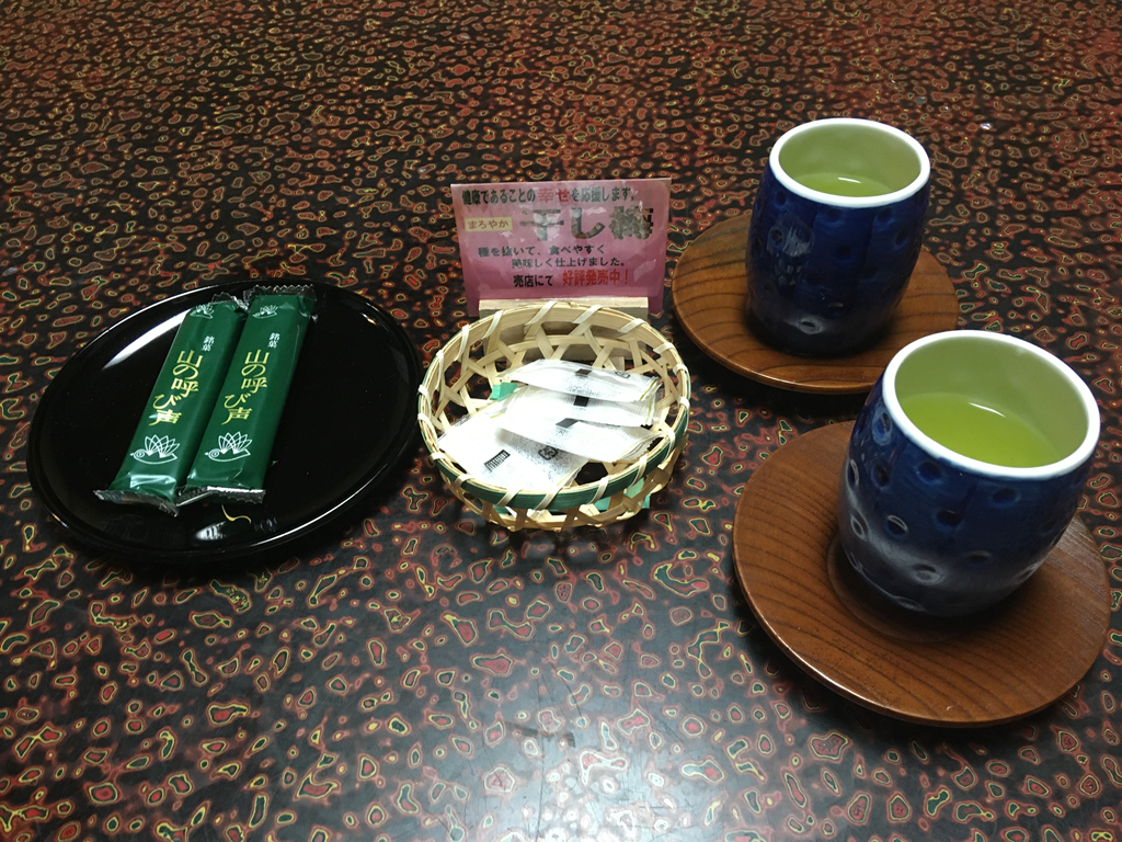 奥秩父「谷津川館」三峰神社の前泊で利用しました。
温泉や食事の感想を紹介しています。
朝は三峰神社のバスのとまる三峰口駅まで送迎してもらえました。