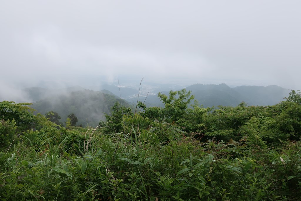 2022年6月に高尾山から景信山往復しました。
朝6時30分スタートと早朝登山の混雑具合・コースタイム・行動食などを紹介しています。