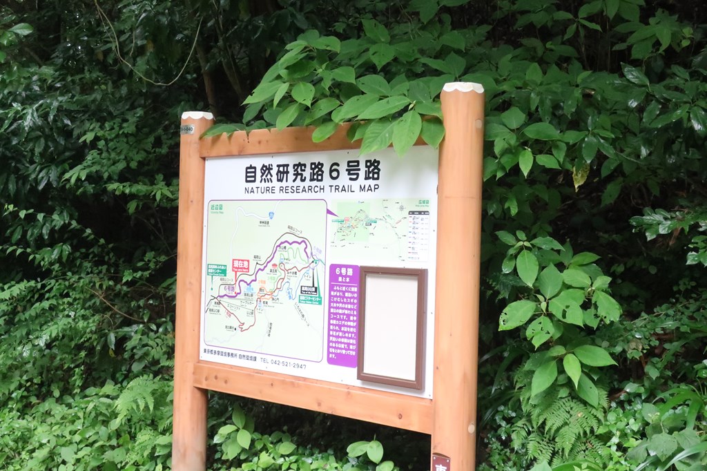 2022年6月に高尾山から景信山往復しました。
朝6時30分スタートと早朝登山の混雑具合・コースタイム・行動食などを紹介しています。