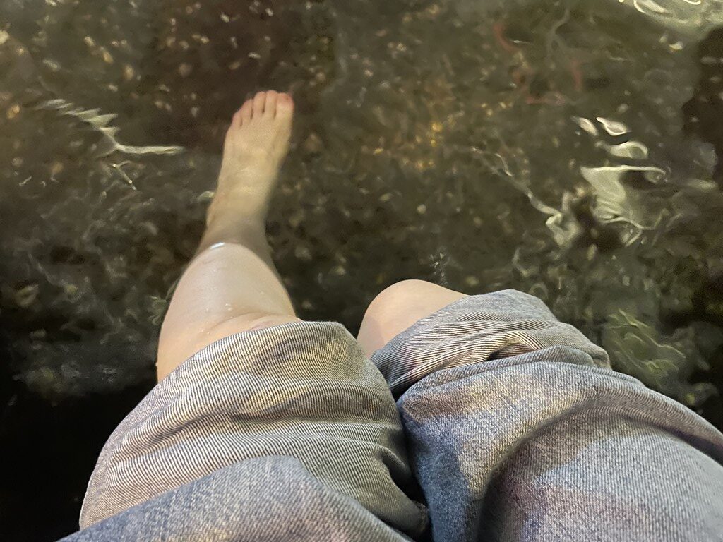 台湾「礁渓温泉」に行ってきました。
台北からのアクセスや温泉を利用した感想を紹介しています。
私が行った温泉公園などには足湯・水着着用温泉・日式温泉・ドクターフィッシュありました。
